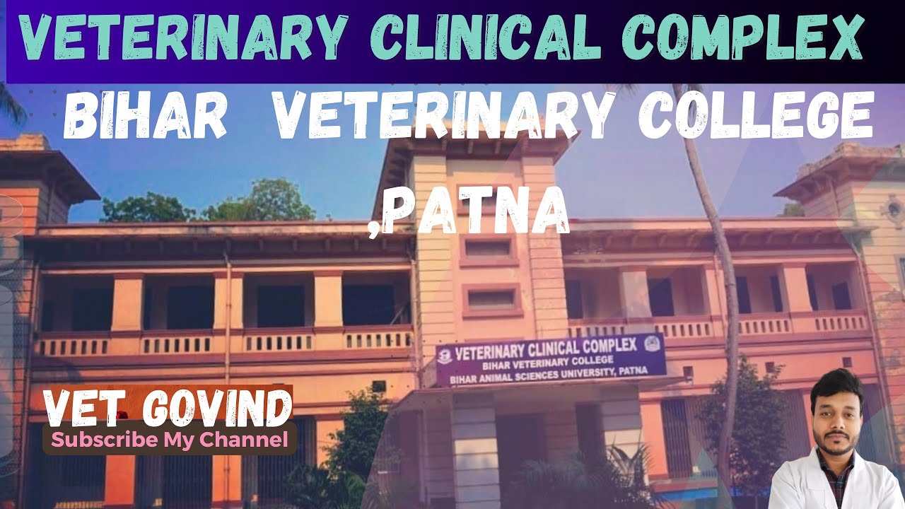 clinic complex of Bihar veterinary College Patna. cow model Bihar