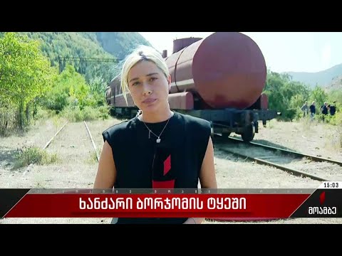 ხანძარი ბორჯომის ტყეში