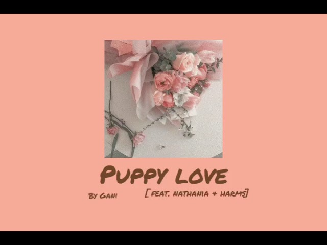 puppy love - gani (feat.nathania u0026 harms) | lyrics video class=