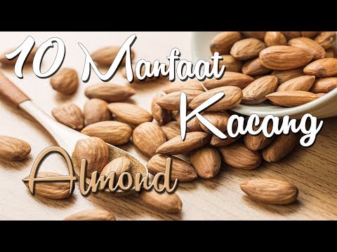 Video: 13 Faedah Kesihatan Kacang Almond Yang Perlu Diketahui Oleh Semua Orang
