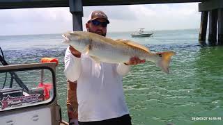 Catching Sharks and Bull Reds at San Luis Pass