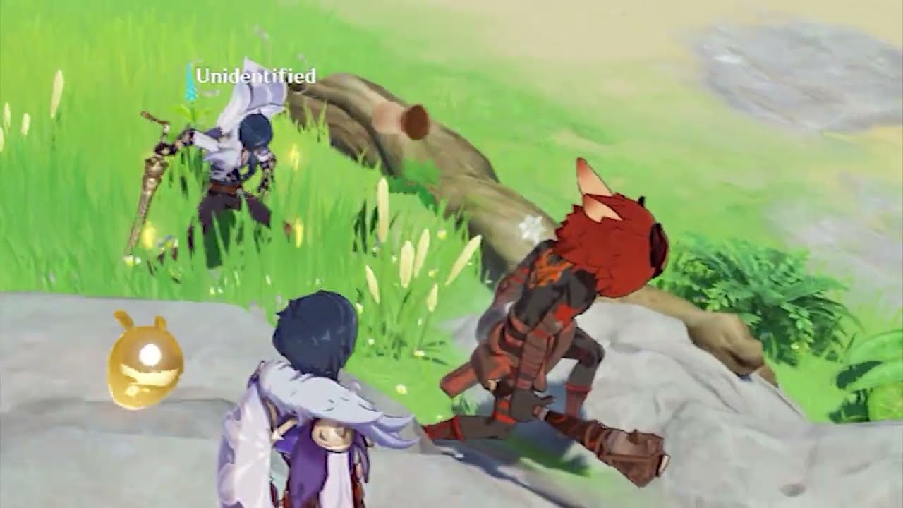 Becoming pirate master