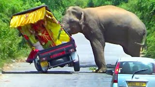 GOD VS WILD ELEPHANAT - Wild elephant attack on a cab carrying an idol of God
