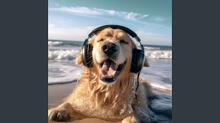Dogs Playful Ocean Harmony