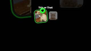#funny #cat #funnymemes #minecraft #pets #freefire #haveitoldyoulatelythatiloveyou
