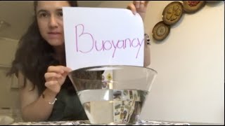 Will It Float or Sink? |  Science Lesson | Buoyancy | Preschool