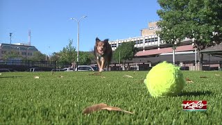Pet owners react to the new Kirby Dog Park in Downtown Sioux Falls