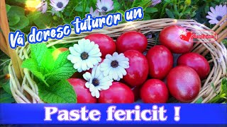 💖Paste fericit! 🐣🐥 Hristos a înviat! Sărbători binecuvântate!