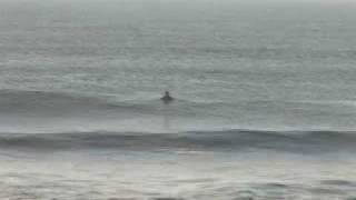 LBI 10-26-08