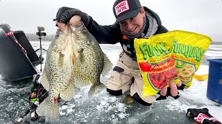 Funyun Fish Catch & Cook! (Ice Fishing 2024) by Sobi 35,151 views 4 months ago 22 minutes