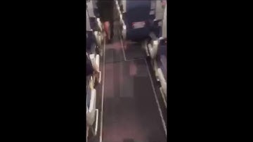 Pigeon Flying Around Cabin Causes Chaos On Passenger Jet