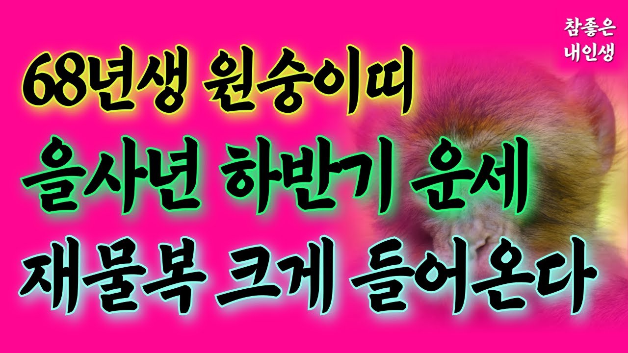 원숭이띠 하반기 운세 원숭이띠운세68년생 | 천운이 함께하는 대박띠 원숭이띠 운세 1968년생 | 2025년 하반기 운세 말년운 말년운세 금전운 원숭이띠재물운 무신생 원숭이띠