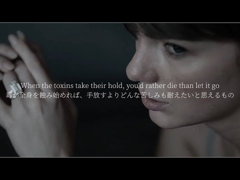 【和訳】Patient Zero /Taylor Swift