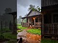 Ozark Cabin in Heavy Rain – Walking Through the Garden to a Wood Stove 🌧️🍅🔥 #Ozarks #RainyDay