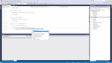 ASP.NET MVC Flash Designer: The First Run of the Designer from Code - [Shot on version 2016.3]