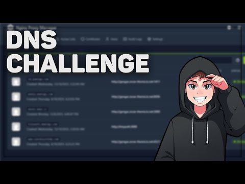 Setting up SSL Certificates using DNS Challenge! (Nginx Proxy Manager)