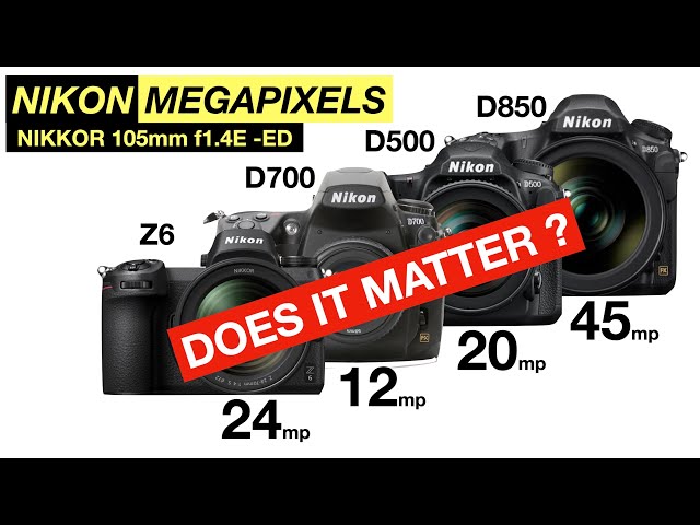 DO MEGA PIXELS MATTER? NIKON D700 vs D500 vs Z6 D850: 12-20-24-45