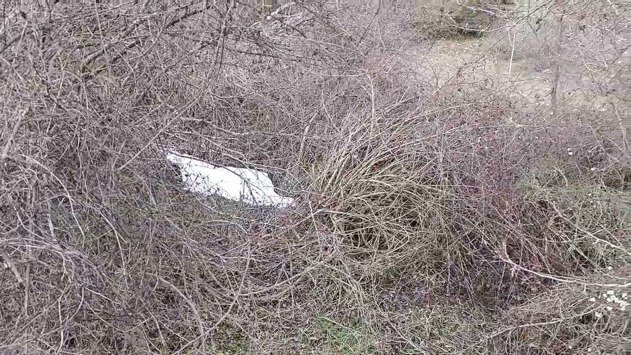 KAR SONRASI GENEL KONTROL