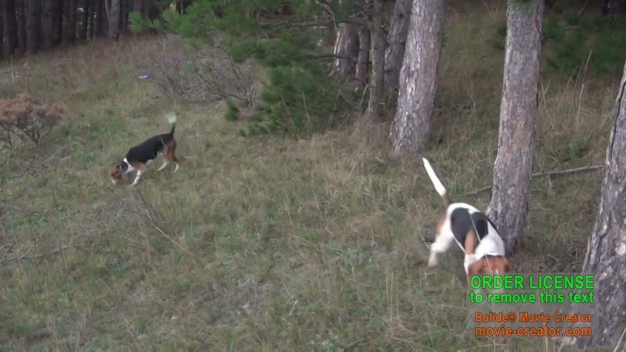 ახალი თაობა