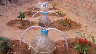 How to make Drip Irrigation with cheap plastic bottles, simple, fast and easy to do.