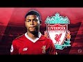 RHIAN BREWSTER - Incredible Goals, Skills & Assists - 2018 (HD)