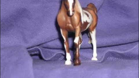 My first Video AND My First Custom Breyer.wmv