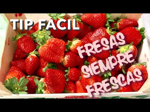Video: Cómo Almacenar Las Fresas Correctamente