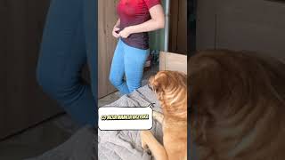 Miss Parówki Ł Życie