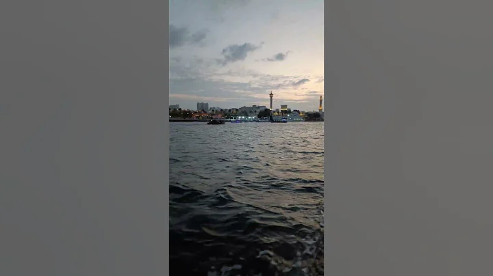 Beautifull Jheel In Dubai ❤🌹💕 #shorts #jheel #dubai #viralvideo #viral #shortsvideo #youtubeshorts