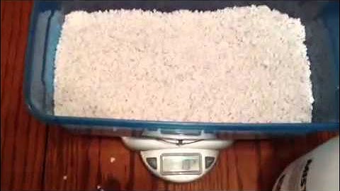 Incubating ball python eggs with perlite