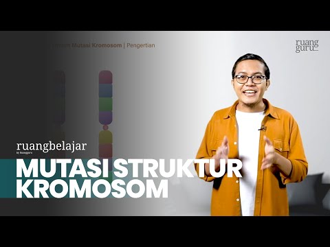 Video: Apa yang menyebabkan translokasi kromosom?