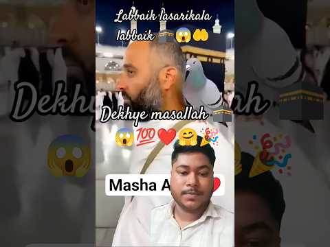 Labbaik Lasarikala Labbaik 15k Shortsfeed Duet Short Tranding Viralshort Islamic