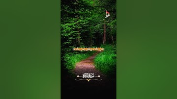 📖 {سورة المائدة : الآية 40} 🔊 تلاوة القارئ الشيخ سيد سعيد