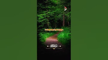 📖 {سورة المائدة : الآية 40} 🔊 تلاوة القارئ الشيخ سيد سعيد