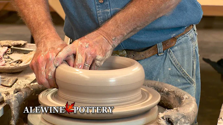 Alewine Robert Throws B new2013