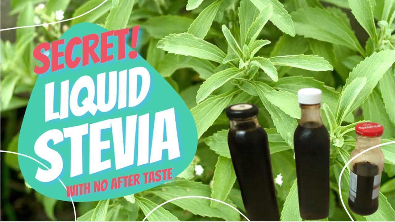 stevia ซื้อที่ไหน  2022 New  How to make liquid stevia taste better with no aftertaste