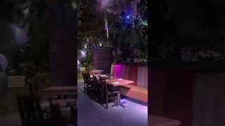 Rainforest cafe Malta