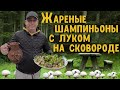 Жареные шампиньоны с луком на сковороде . Как пожарить шампиньоны? Как правильно жарить шампиньоны