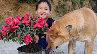 Full Video Khai's daily life, Just Going to School and Helping Parents with Gardening.