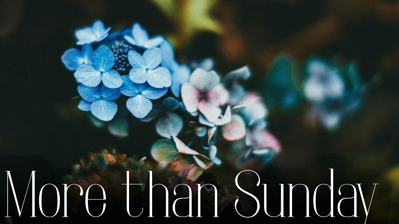 More Than Sunday | Calvary of Tampa with Pastor Jesse Martinez