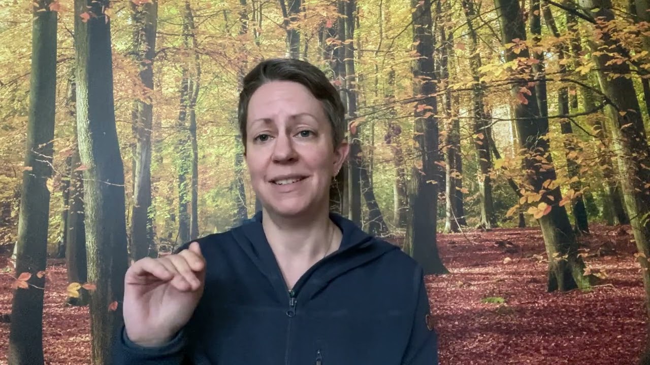 Running Shoes; Comfort and Fit