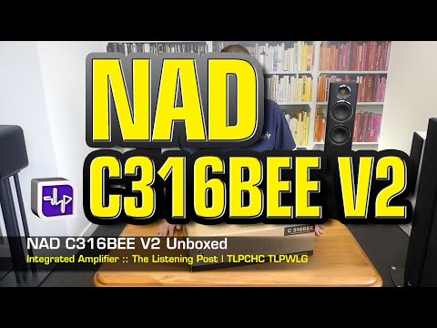 NAD C316BEE, the FUN factor with Maggie LRS! a gift of the GODS!