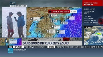 Mike Seidel Interview