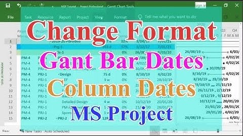 How to change date format in Microsoft Project