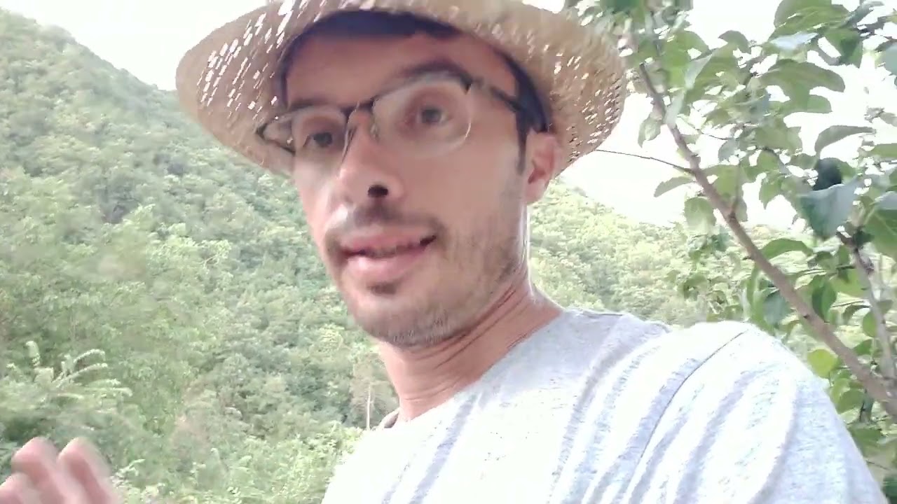 Raccolta Farro varietà Spelta e varie lavorazioni. 🌾🌾