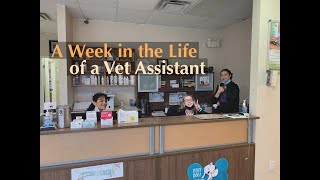 A Week in Life as a Veterinarian Assistant| PreVet Work Experience Before Getting into Vet School