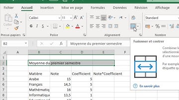 Remplir et mettre en forme un tableau sous Excel