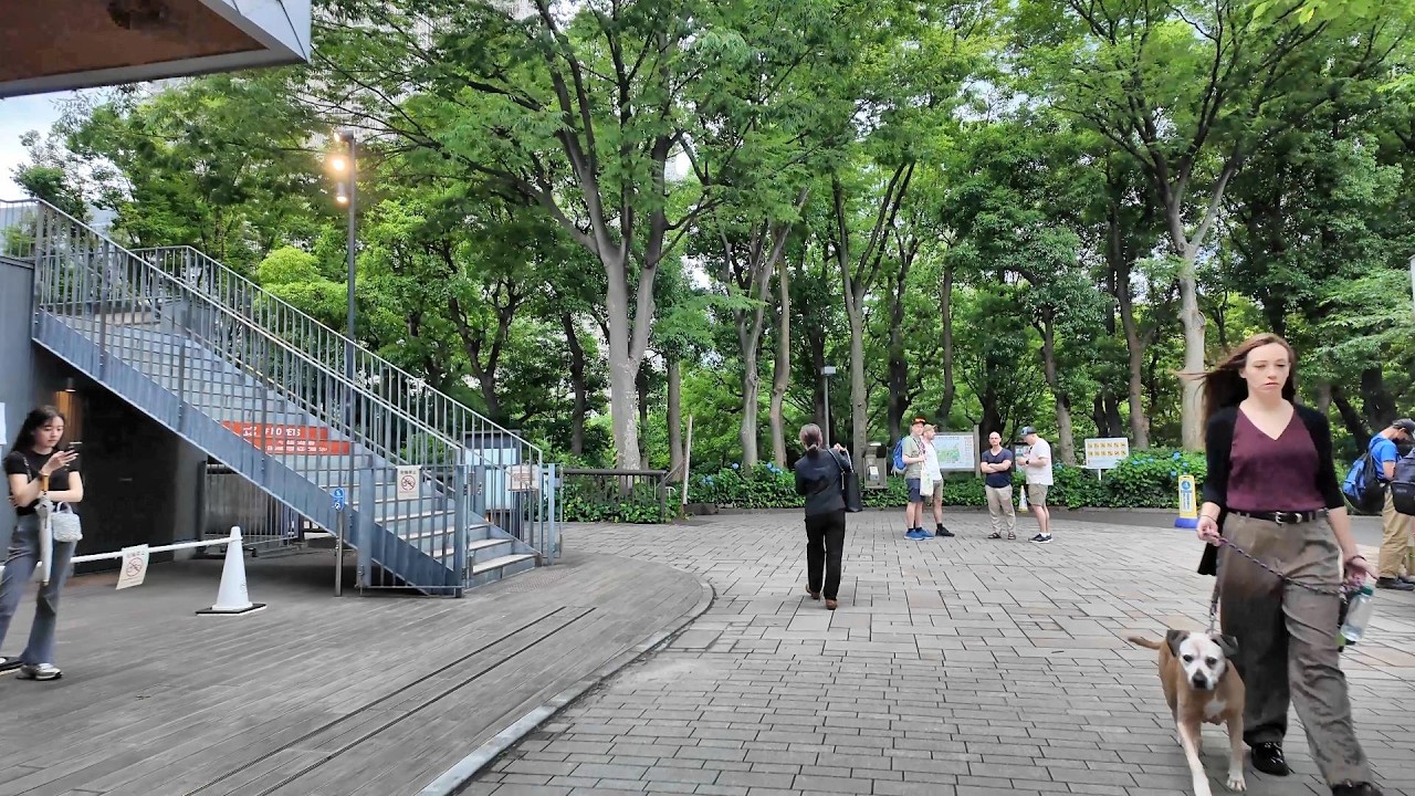 新宿中央公園■Eバイク自転車載DJIポケット3ジンバルZ-Axisスタビライザーオーディオレコーダー高音質3Dサラウンドバイノーラル録音ドライブ東京大都会