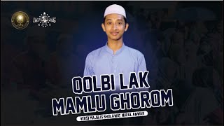 Download Lagu QOLBI LAK MAMLU GHOROM MP3