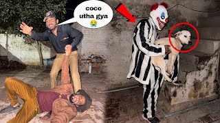 Sw Pet House Ka Coco Pennywise Outha K La Giya